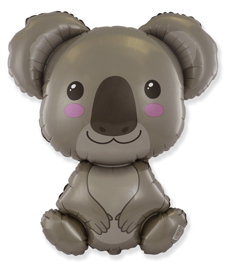 Baby Koala