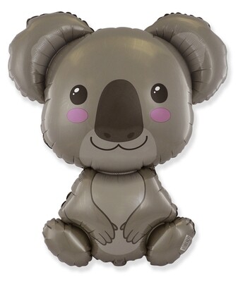 Baby Koala