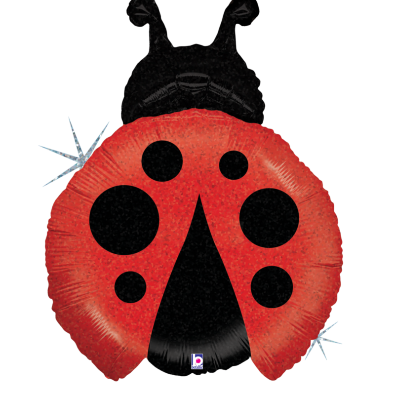 Little Ladybug