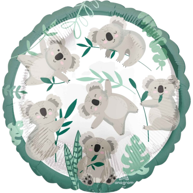 Koala