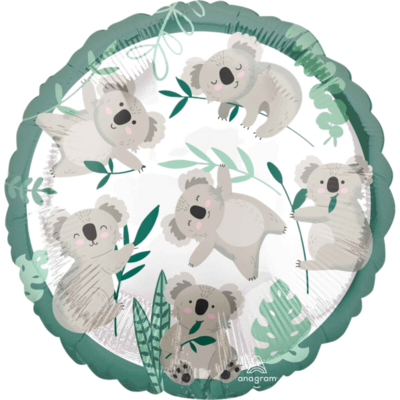 Koala