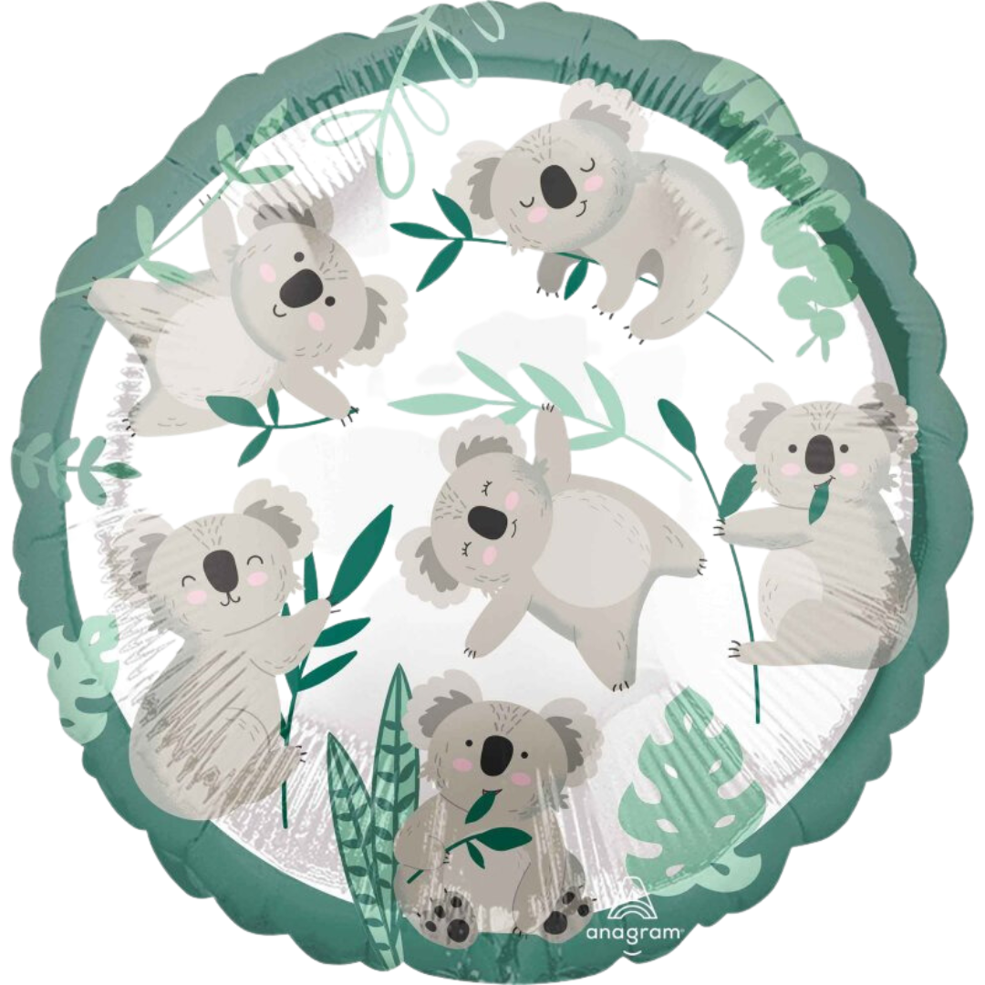 Koala