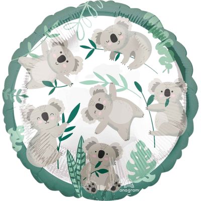 Koala