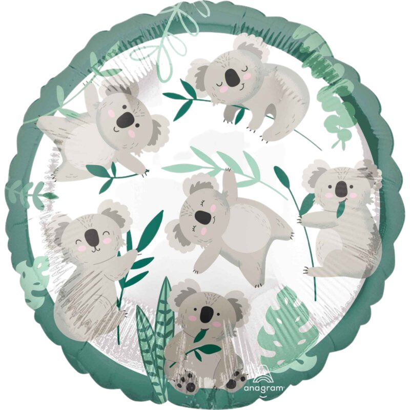 Koala