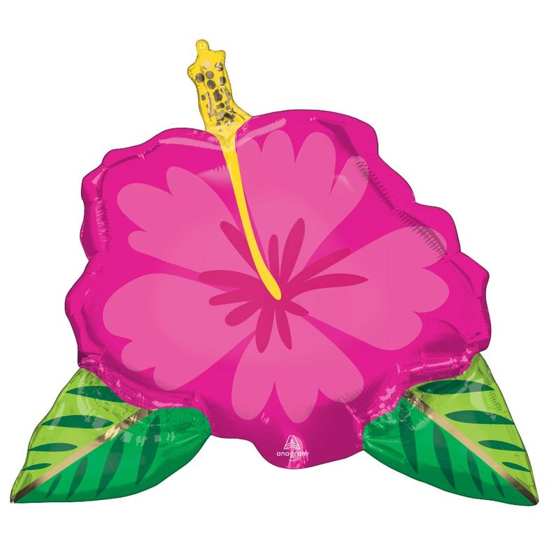 Beautiful Tropical Hibiscus
