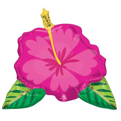 Beautiful Tropical Hibiscus