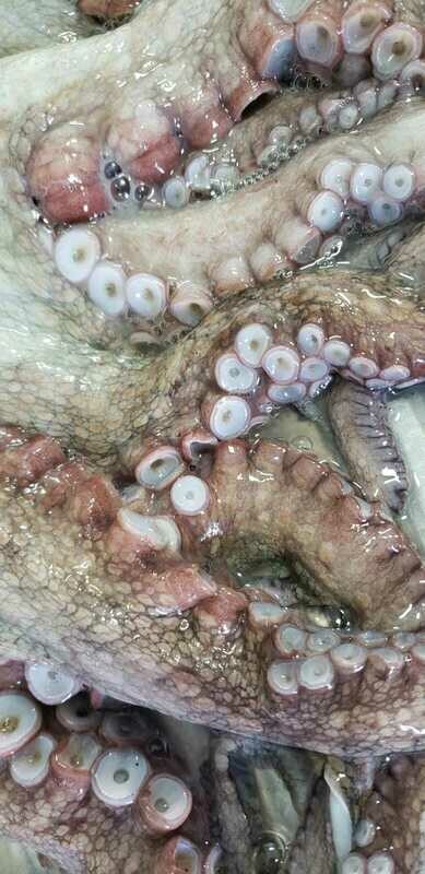 Pulpo en roseta