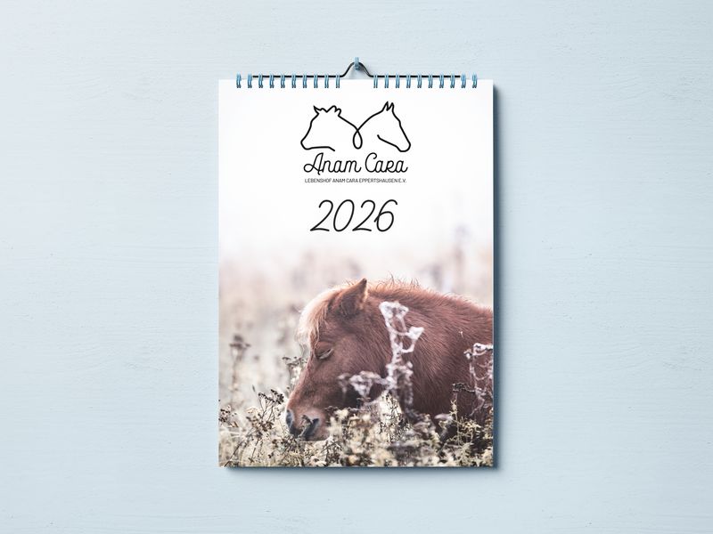 Anam Cara Kalender 2026 A4 VORVERKAUF