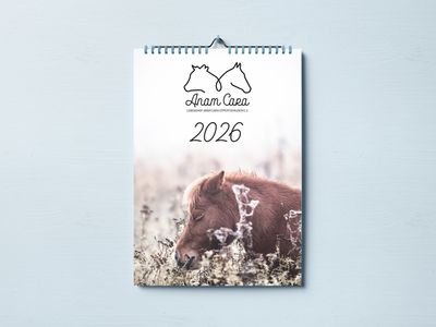 Anam Cara Kalender 2026 A4 VORVERKAUF Anam Cara Kalender 2026 A4 VORVERKAUF
