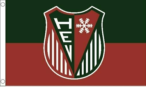 Fahne Logo