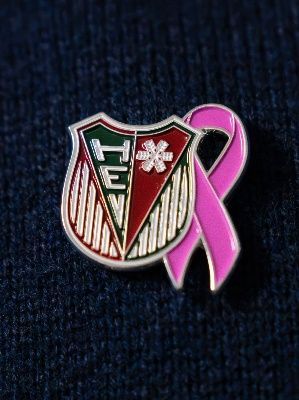 Pin - HEV PINK OKTOBER