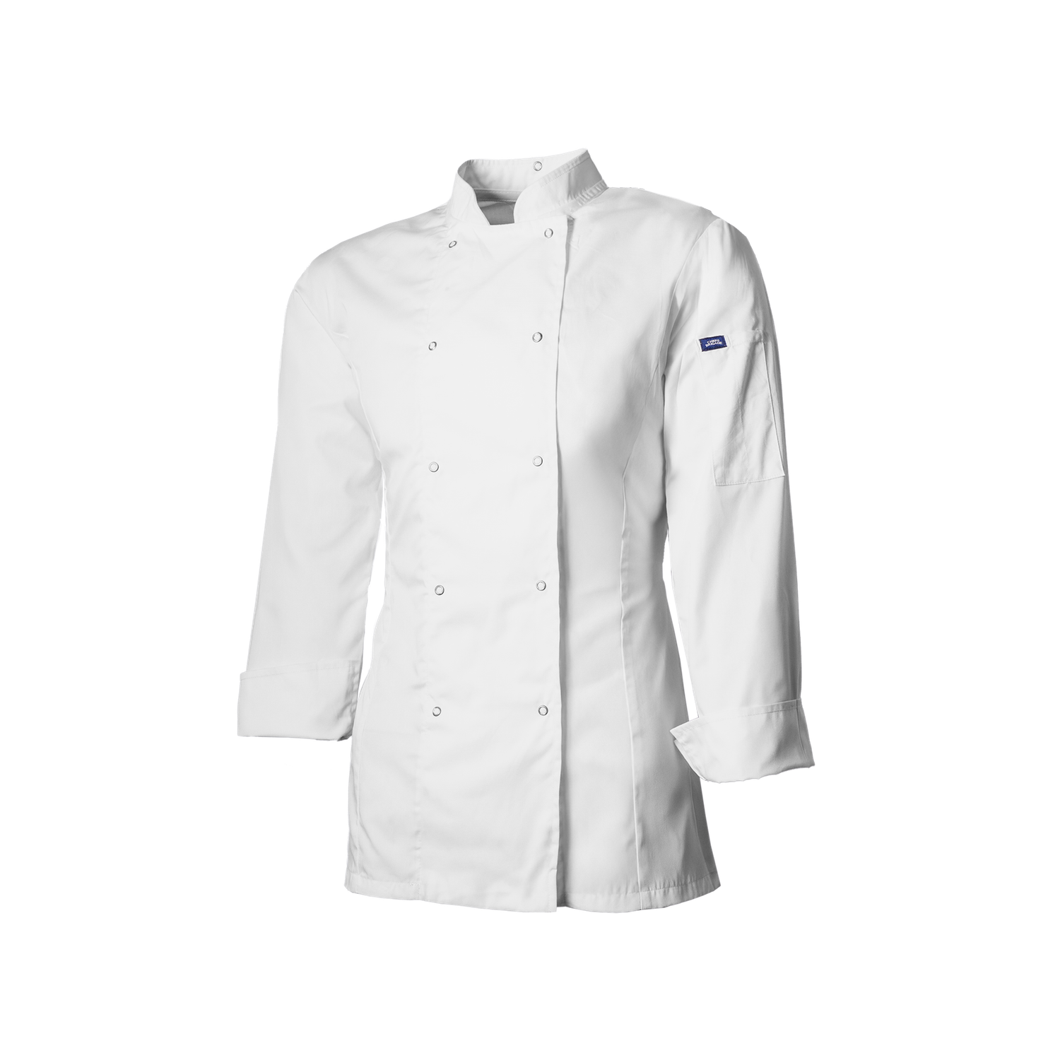 The Swan - White