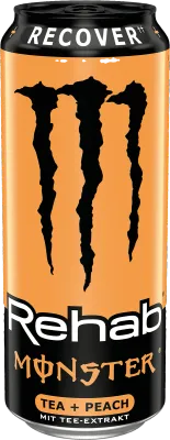 Monster Energy Rehab