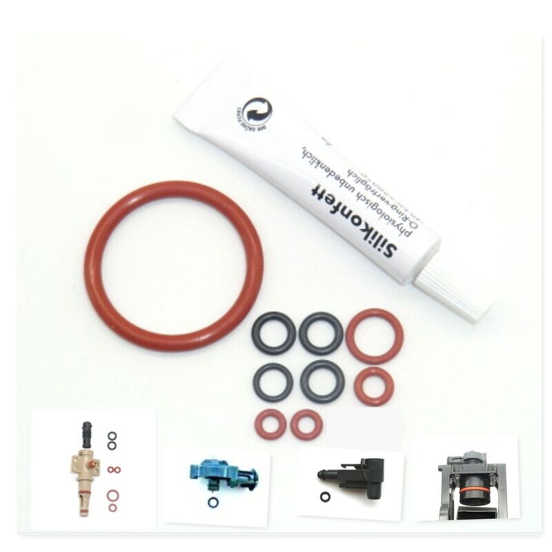 SAECO Philips Dichtung Dichtungssatz Fett O-Ring Brühgruppe Auslaufstutzen Supportventil  SUP HD EP RI SM