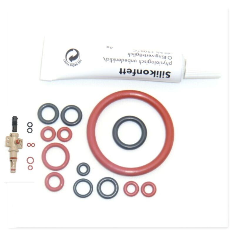 SAECO Philips Dichtung Dichtungssatz Fett Tube 6g O-Ring Brühgruppe Auslaufstutzen Supportventil  Stößel SUP HD EP