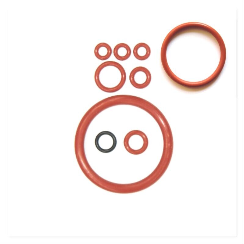 Saeco Incanto Sirius Dichtung Dichtungsatzt Set  für Brühgruppe Brüheinheit  Kaffeevollautomat SUP 021YADR