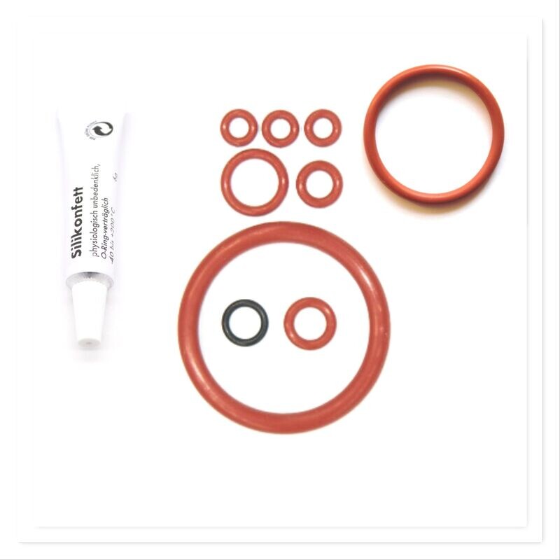 Saeco Incanto Sirius Dichtung Dichtungsatzt Set + Fett für Brühgruppe Brüheinheit  Kaffeevollautomat SUP 021YADR