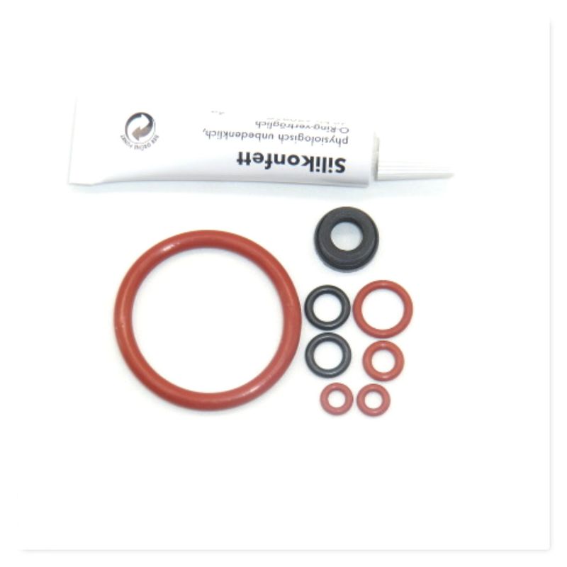 SAECO Philips Dichtung O-Ring Fett Set für Stutzen Wassertank Supportventil