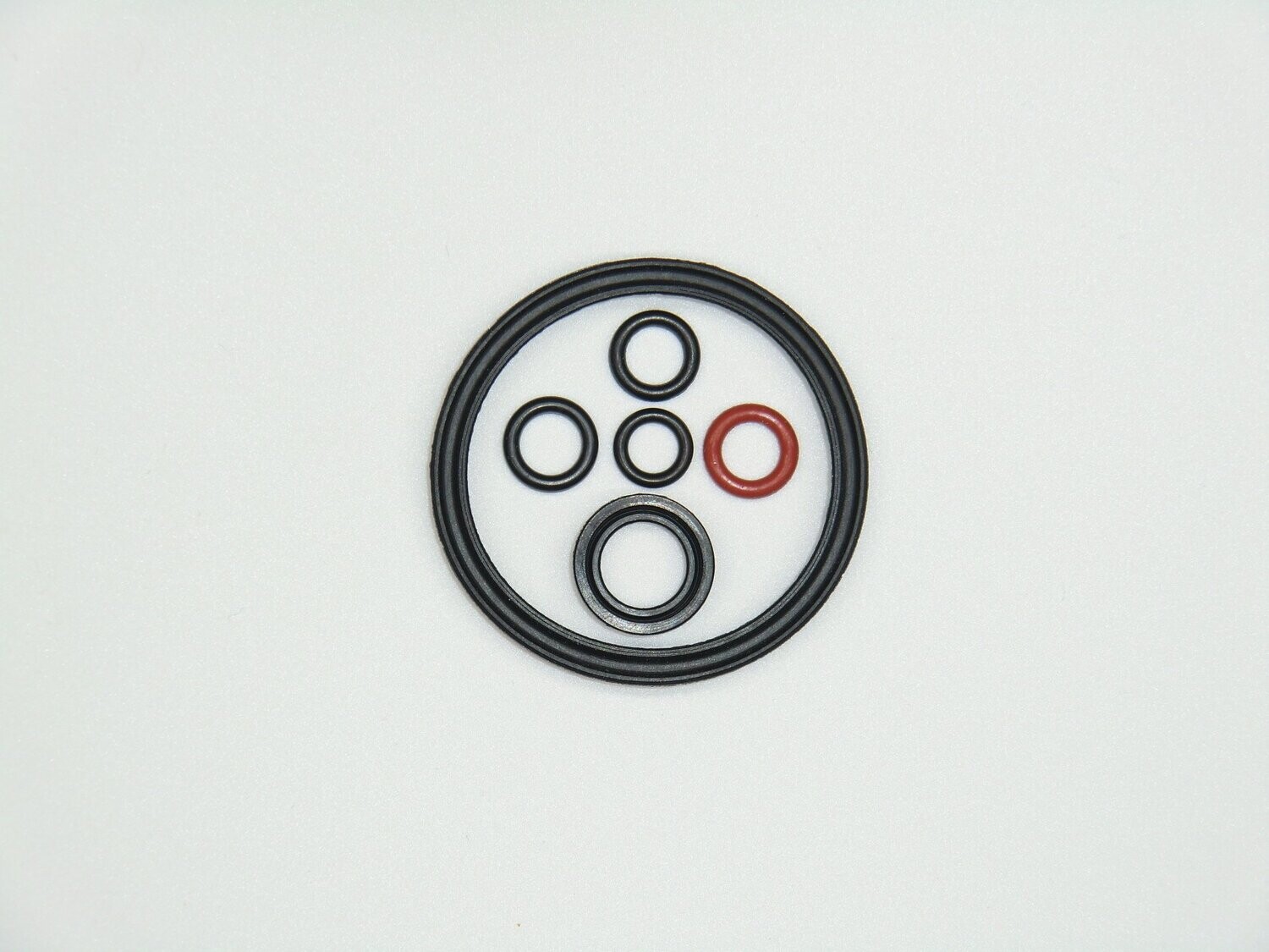 Nutring Lippendichtung Dichtung  für Stößel Miele Bosch Siemens Nivona Melitta Krups XP900