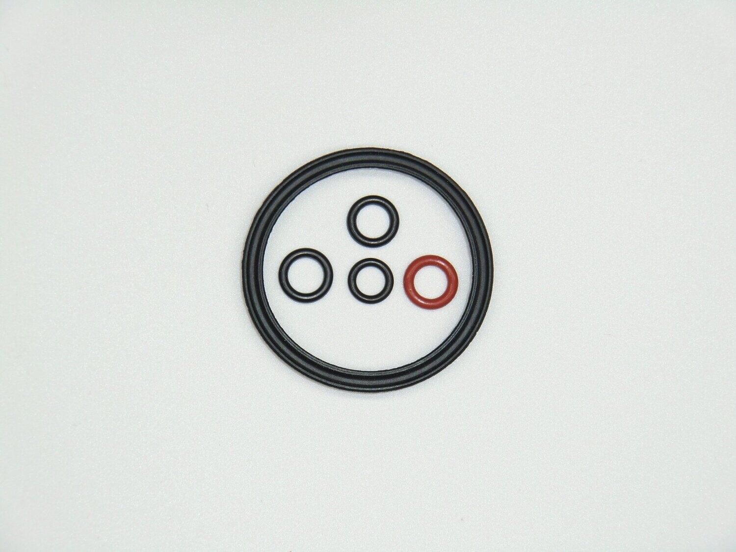 Nutring Lippendichtung Dichtung O-Ring Miele Bosch Siemens Nivona Melitta Krups XP900