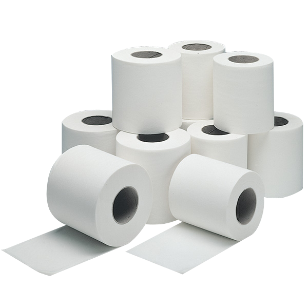 2 PLY PREMIUM TOILET PAPER (48 rolls)