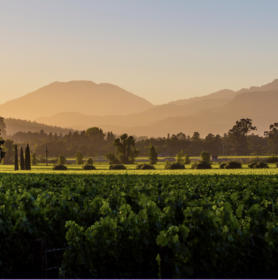 Napa Valley Seminars