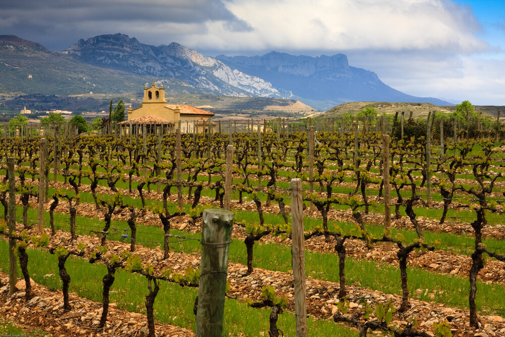 Recorded Rioja Webinar with MS Jonathan Eichholz