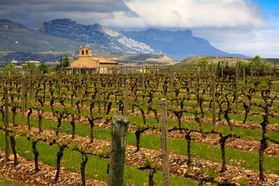 Recorded Rioja Webinar with MS Jonathan Eichholz