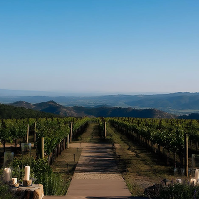 Napa Valley Seminar | Charleston | June 17