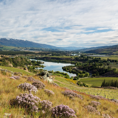 Wines of New Zealand Seminar | New York City | June 3