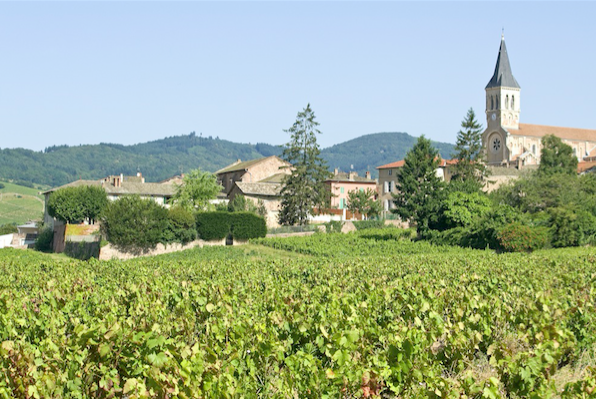Recorded Beaujolais Webinar with MS David Keck