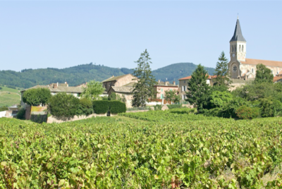 Recorded Beaujolais Webinar with MS David Keck
