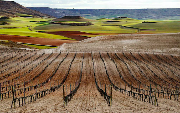 Recorded Ribera del Duero &amp; Rueda Webinar with MS Chris Tanghe