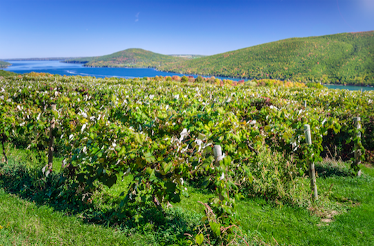 Recorded Finger Lakes Webinar with MS Chris Bates - 9-10-2018