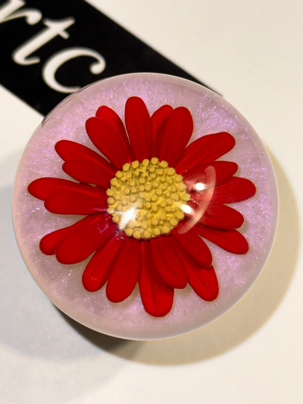 Daisy Red on Inf Red P
