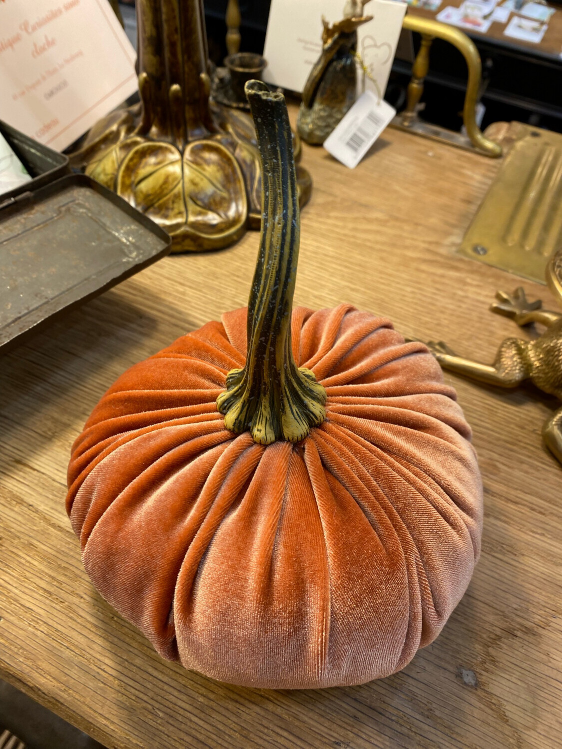 Citrouille oranger moyenne