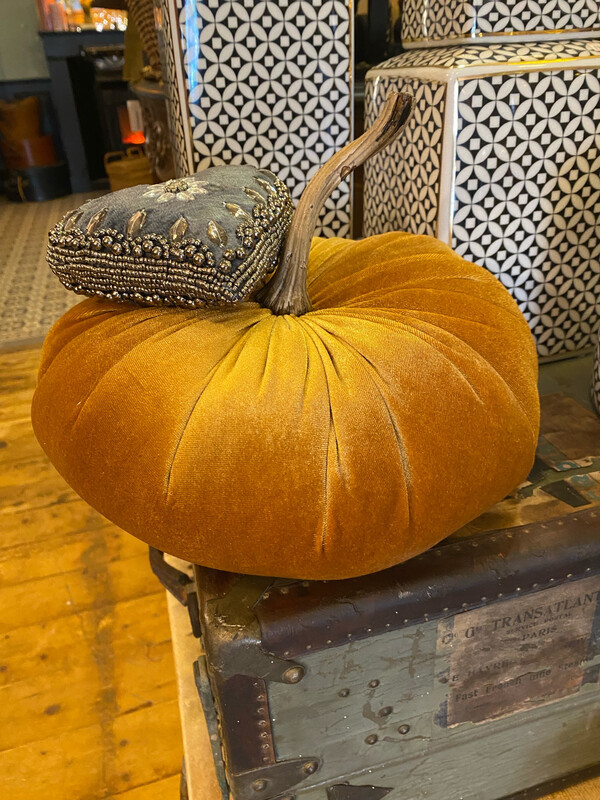 Citrouille velours très grande 30 cm