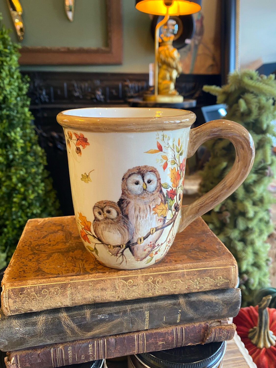 Mug douce chouette USA