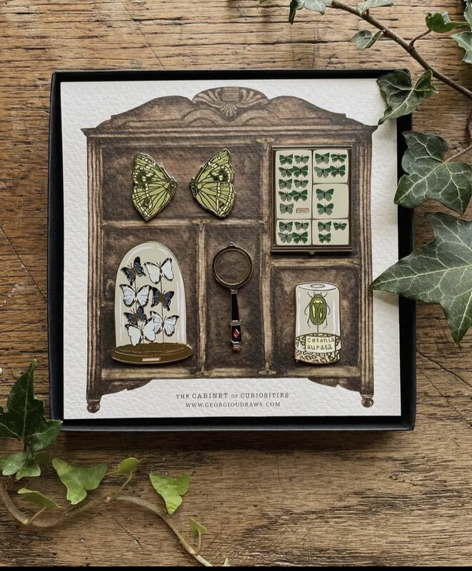 Coffret 5 broches anglaises cabinet de curiosités 