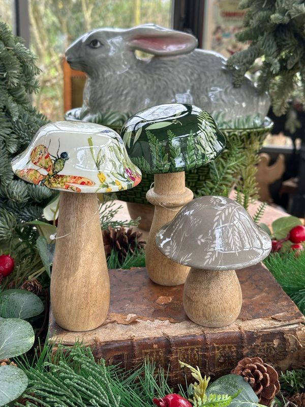 Trio de champignons en bois émaillés