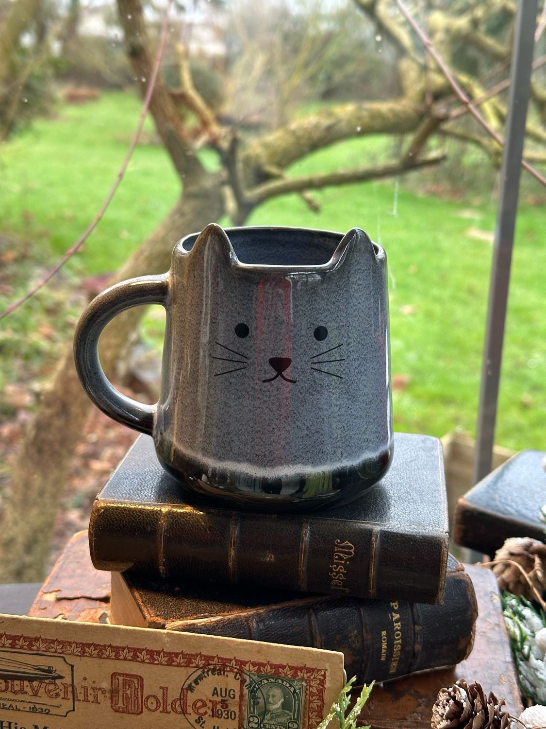 Mug chat en gré 