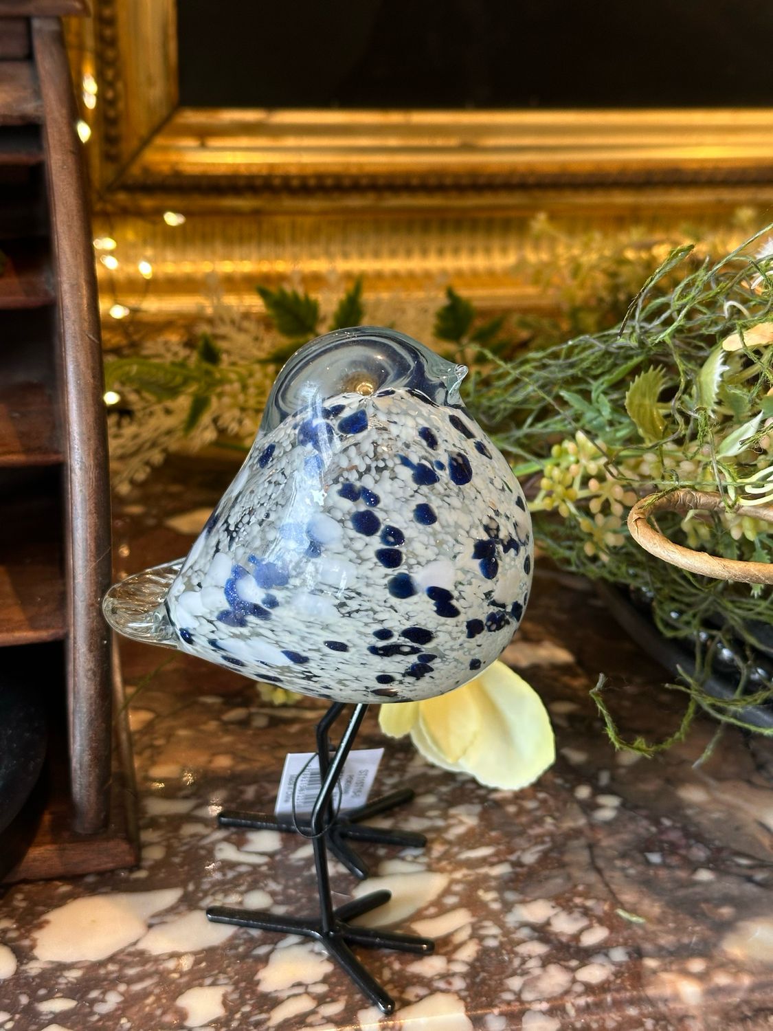 Oiseau sulfure sur pieds