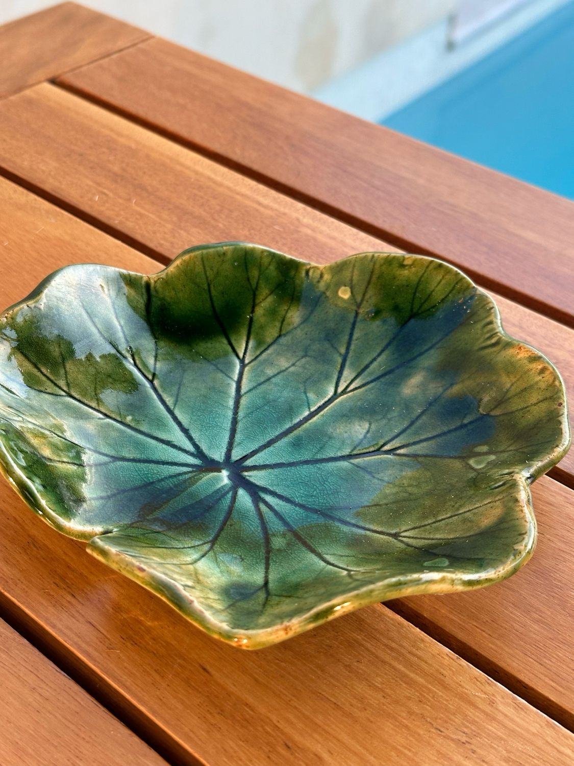 Assiette en céramique feuille d’eau 