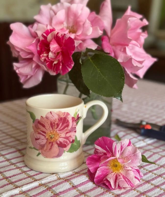 Mug King’s Roses