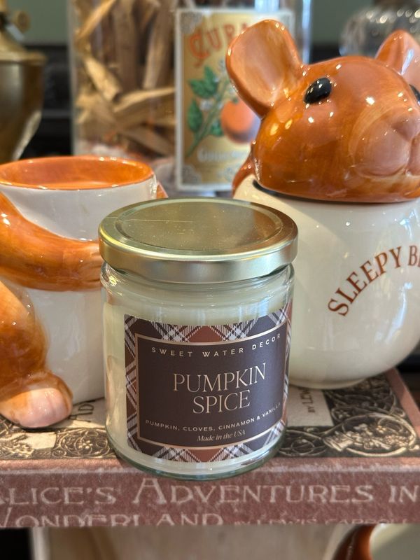 Bougies Pumpkin spice 