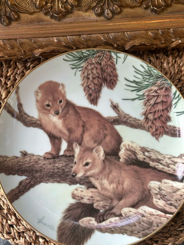 Assiette Forest year