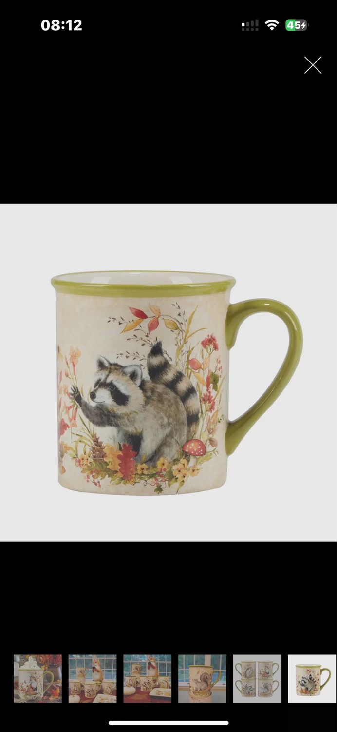 Mug racoon