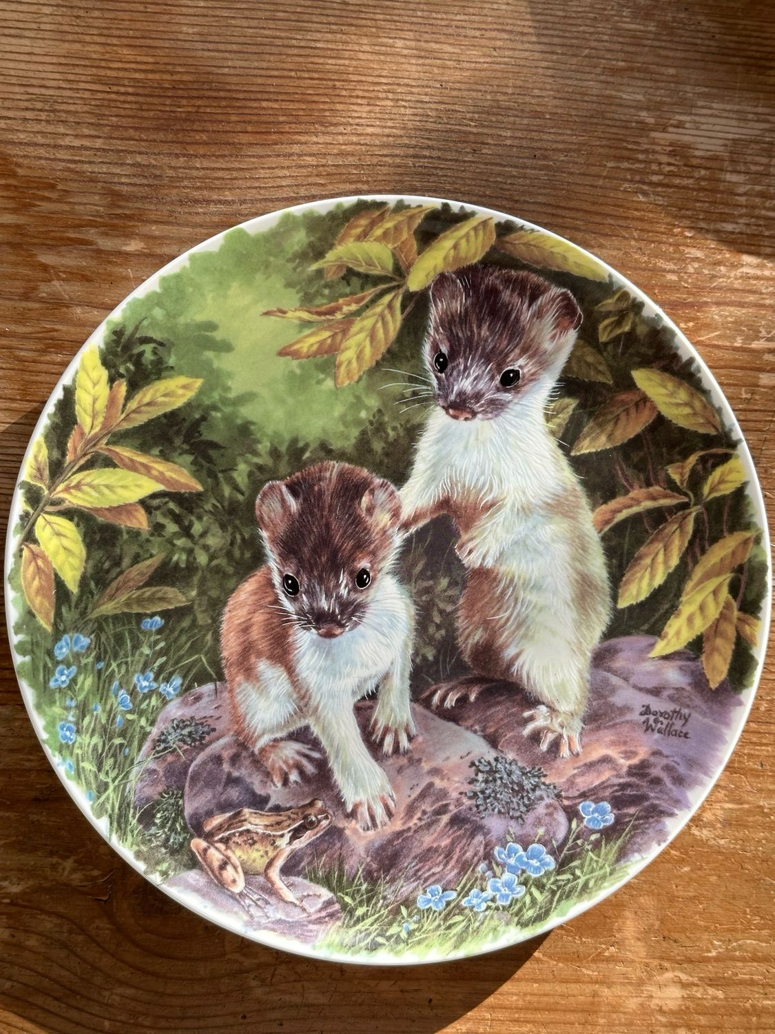 Assiette collector baby automne ? 