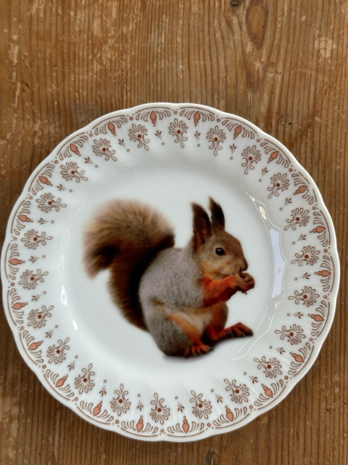 Assiette collector écureuil 