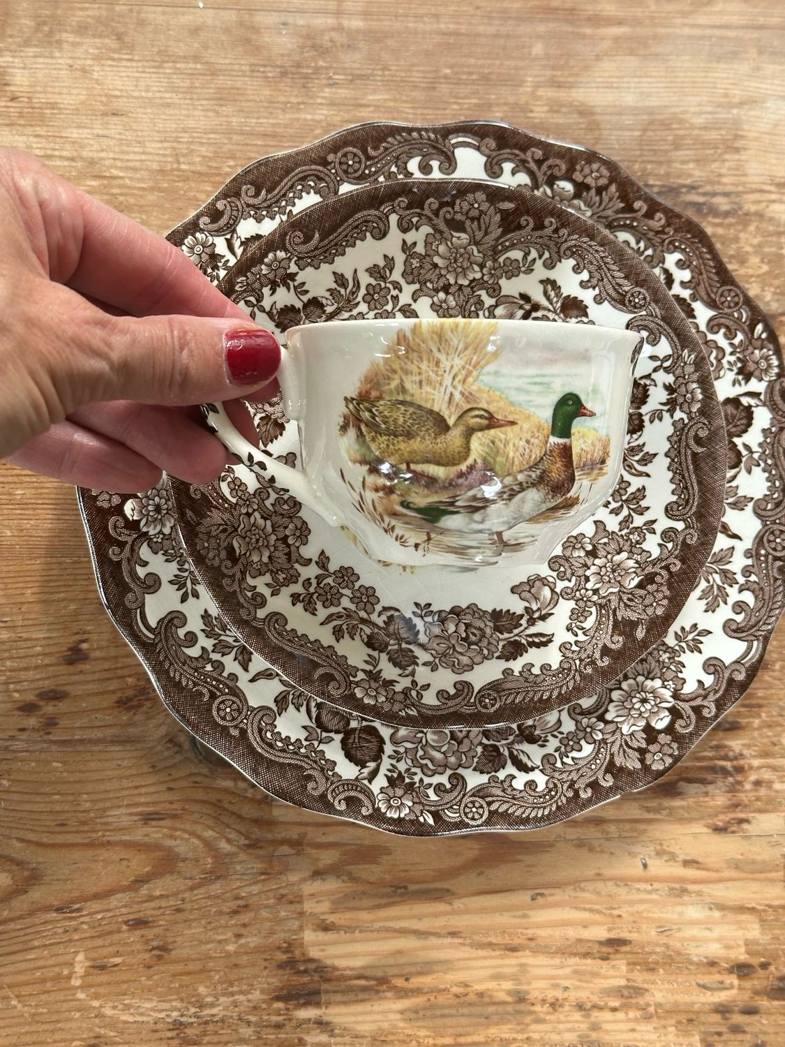 Ensemble 3 pièces canard